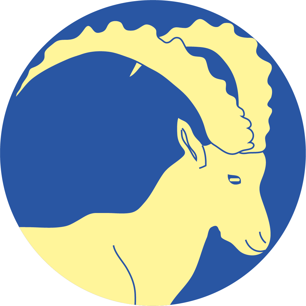 Logo site